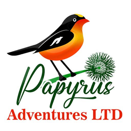 papyrus adventures logo