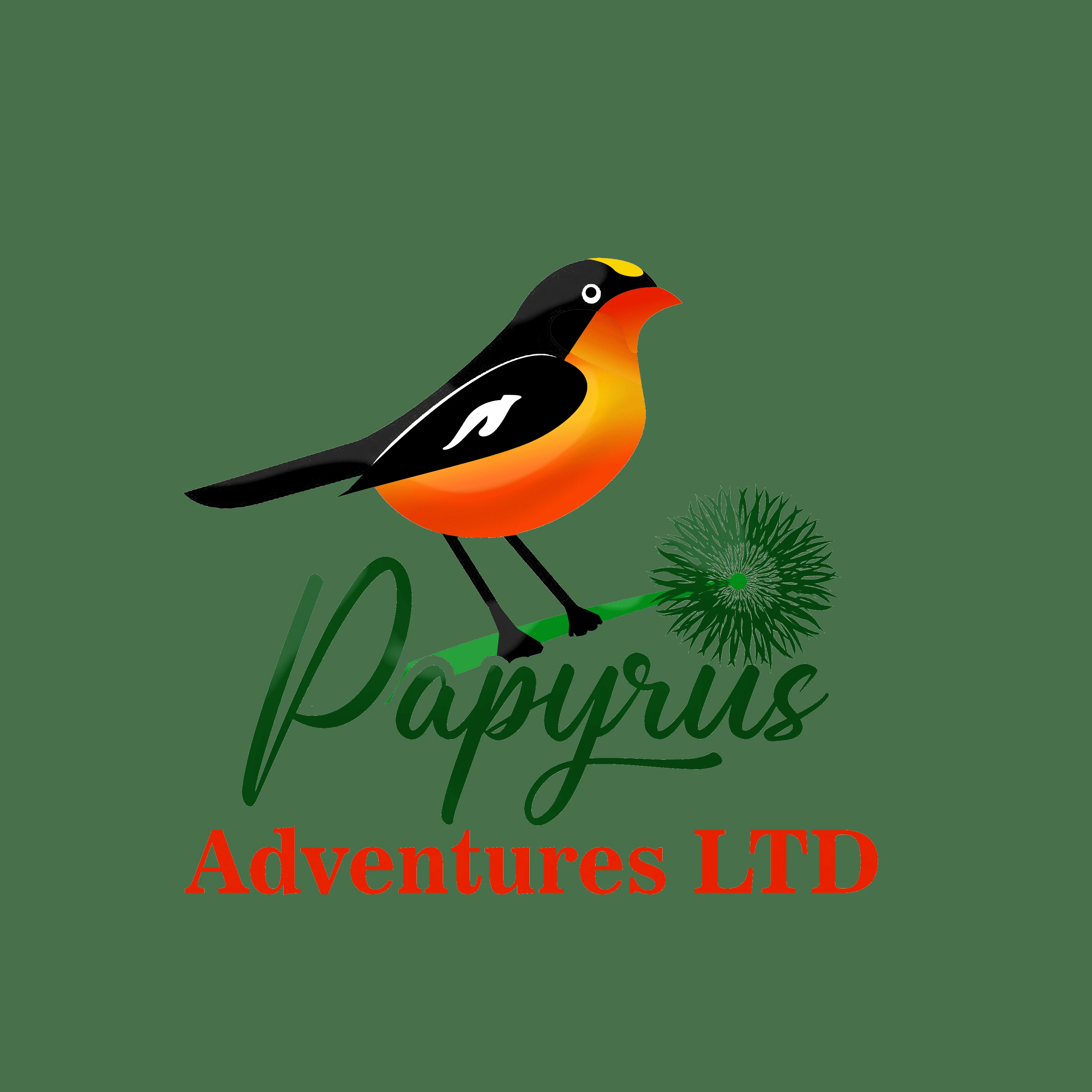 papyrus adventures logo